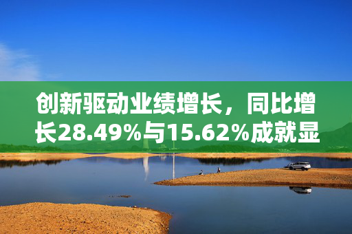 创新驱动业绩增长，同比增长28.49%与15.62%成就显著