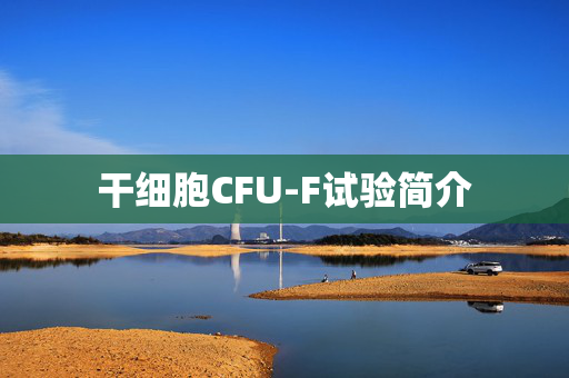 干细胞CFU-F试验简介