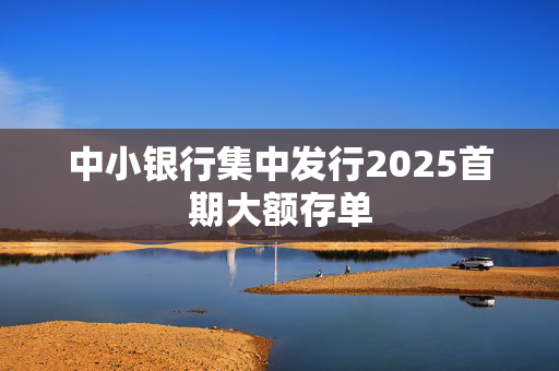 中小银行集中发行2025首期大额存单