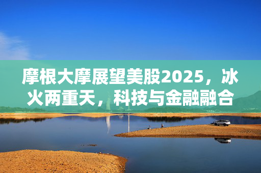 摩根大摩展望美股2025，冰火两重天，科技与金融融合