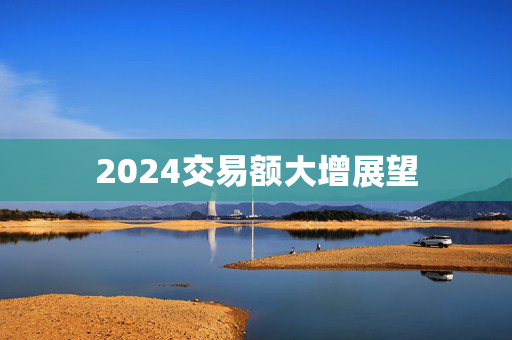 2024交易额大增展望