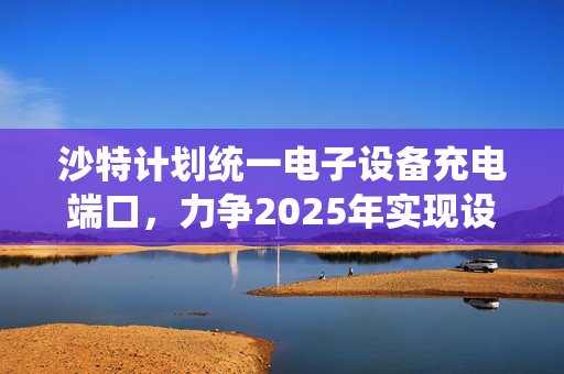 沙特计划统一电子设备充电端口，力争2025年实现设备端口统一