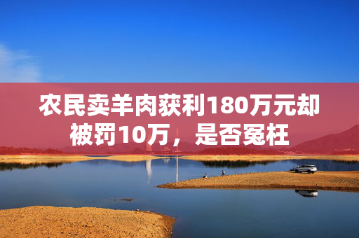 农民卖羊肉获利180万元却被罚10万，是否冤枉