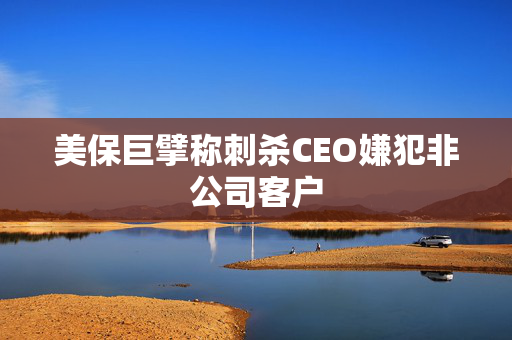 美保巨擘称刺杀CEO嫌犯非公司客户