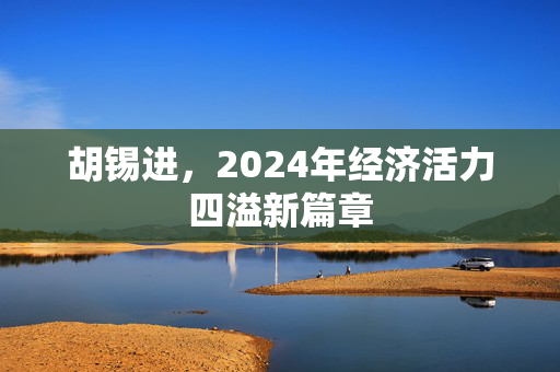 胡锡进，2024年经济活力四溢新篇章