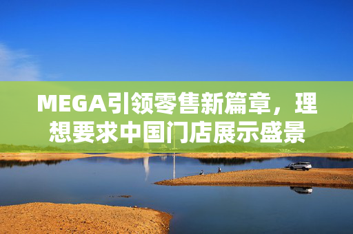 MEGA引领零售新篇章，理想要求中国门店展示盛景