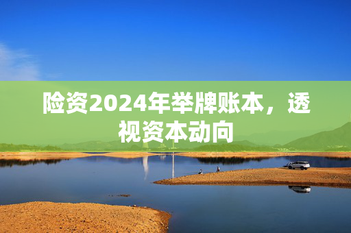 险资2024年举牌账本，透视资本动向