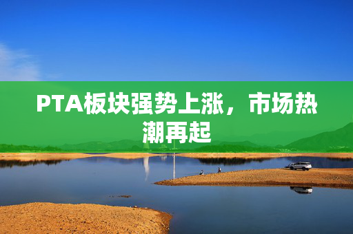 PTA板块强势上涨，市场热潮再起