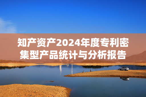 知产资产2024年度专利密集型产品统计与分析报告