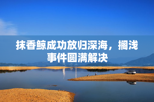 抹香鲸成功放归深海，搁浅事件圆满解决