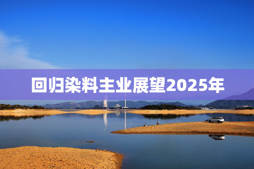 回归染料主业展望2025年