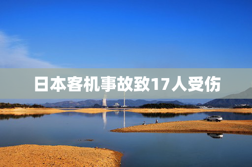 日本客机事故致17人受伤