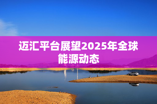 迈汇平台展望2025年全球能源动态