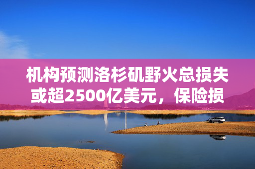 机构预测洛杉矶野火总损失或超2500亿美元，保险损失或达300亿美元