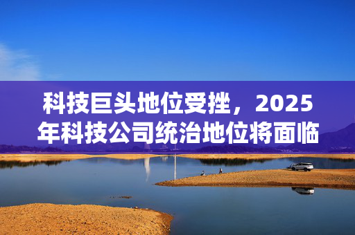 科技巨头地位受挫，2025年科技公司统治地位将面临挑战