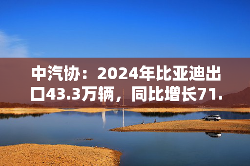 中汽协：2024年比亚迪出口43.3万辆，同比增长71.8%