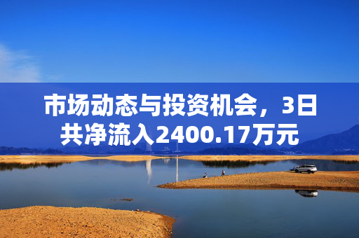 市场动态与投资机会，3日共净流入2400.17万元