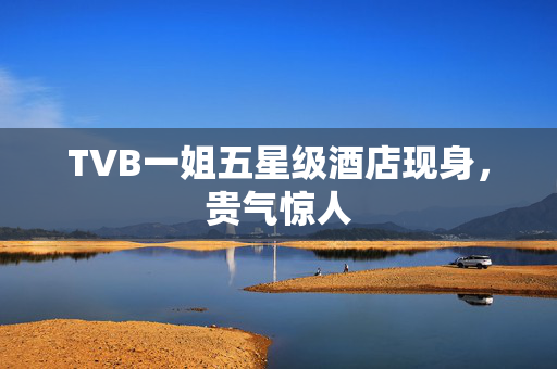 TVB一姐五星级酒店现身，贵气惊人