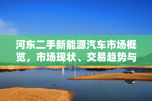 河东二手新能源汽车市场概览，市场现状、交易趋势与商机