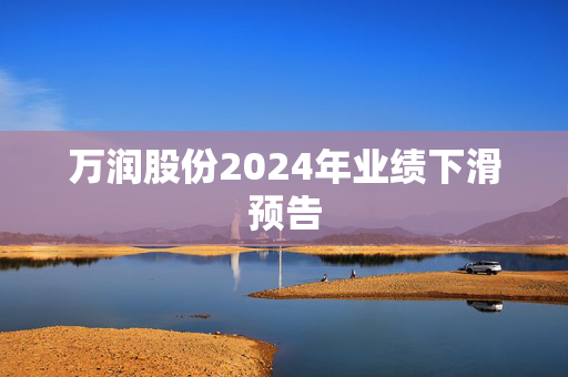 万润股份2024年业绩下滑预告