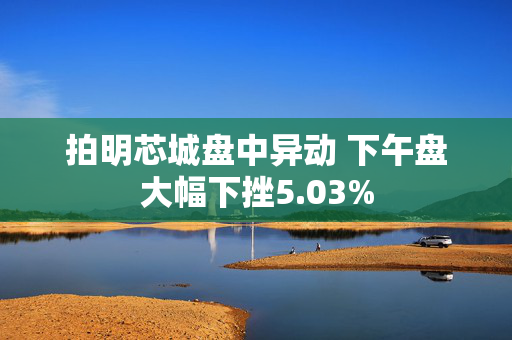 拍明芯城盘中异动 下午盘大幅下挫5.03%