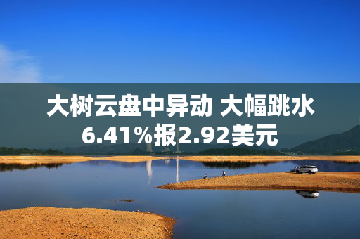 大树云盘中异动 大幅跳水6.41%报2.92美元