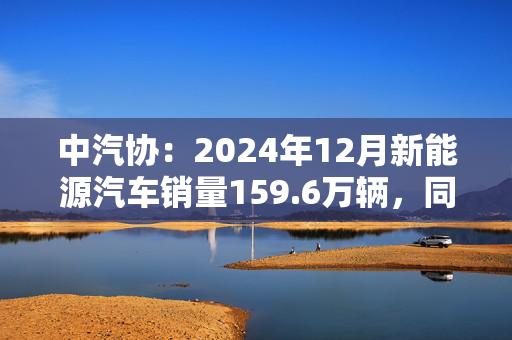 中汽协：2024年12月新能源汽车销量159.6万辆，同比增长34%