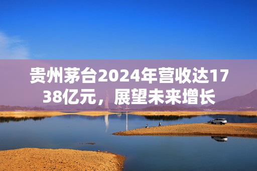 贵州茅台2024年营收达1738亿元，展望未来增长