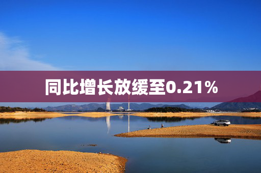 同比增长放缓至0.21%