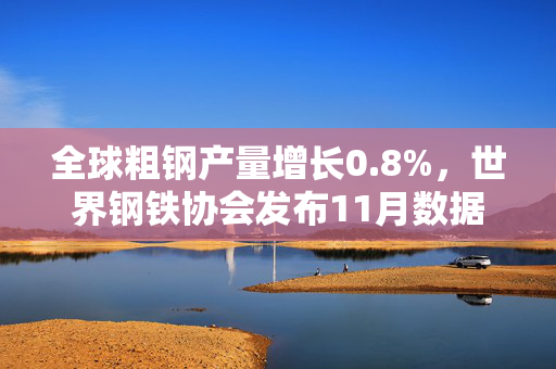 全球粗钢产量增长0.8%，世界钢铁协会发布11月数据