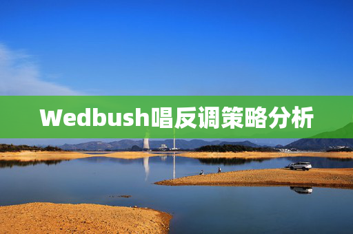 Wedbush唱反调策略分析