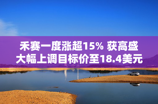 禾赛一度涨超15% 获高盛大幅上调目标价至18.4美元