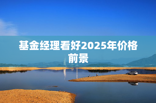 基金经理看好2025年价格前景