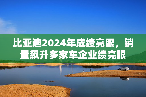 比亚迪2024年成绩亮眼，销量飙升多家车企业绩亮眼