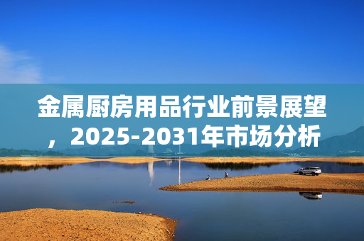 金属厨房用品行业前景展望，2025-2031年市场分析与投资前景预测报告