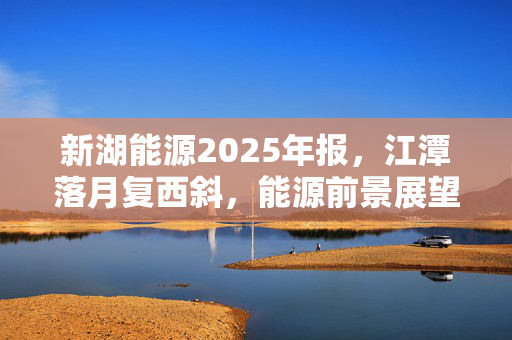 新湖能源2025年报，江潭落月复西斜，能源前景展望