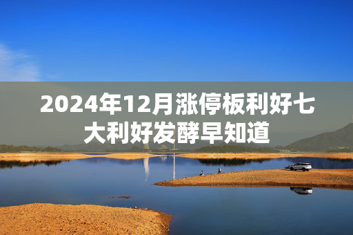 2024年12月涨停板利好七大利好发酵早知道