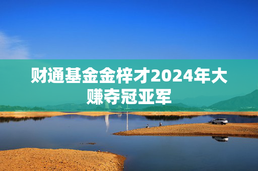 财通基金金梓才2024年大赚夺冠亚军