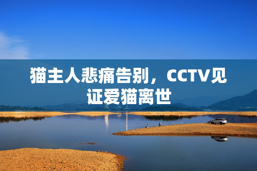 猫主人悲痛告别，CCTV见证爱猫离世