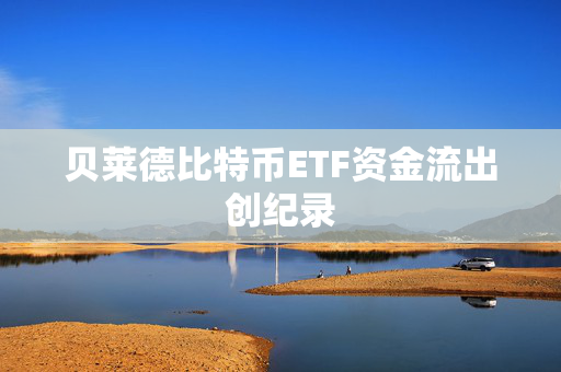 贝莱德比特币ETF资金流出创纪录