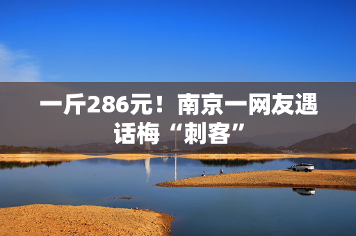 一斤286元！南京一网友遇话梅“刺客”