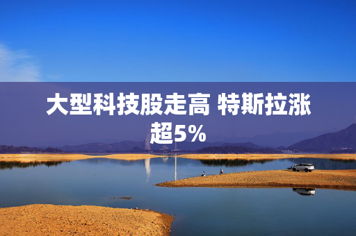 大型科技股走高 特斯拉涨超5%