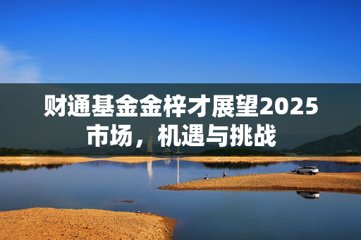 财通基金金梓才展望2025市场，机遇与挑战