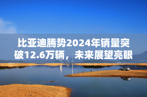 比亚迪腾势2024年销量突破12.6万辆，未来展望亮眼