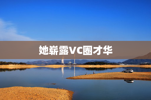 她崭露VC圈才华