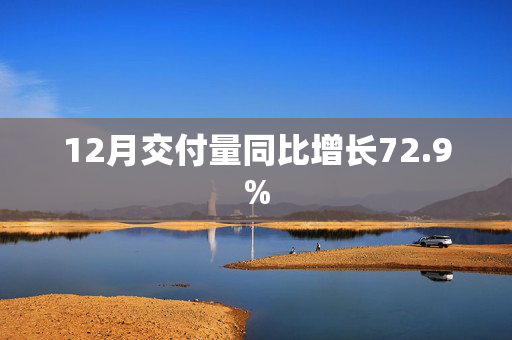 12月交付量同比增长72.9%