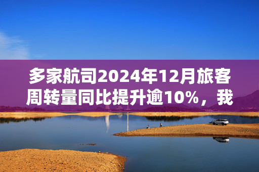 多家航司2024年12月旅客周转量同比提升逾10%，我国民航去年旅客运输量创纪录