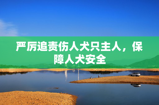 严厉追责伤人犬只主人，保障人犬安全