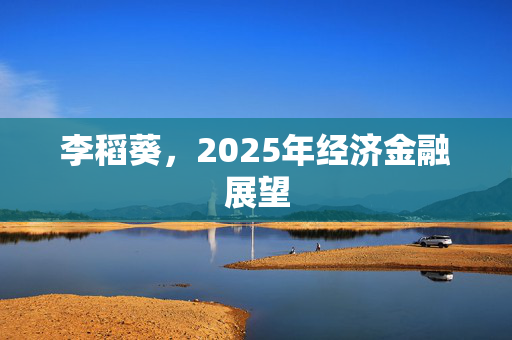 李稻葵，2025年经济金融展望