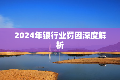 2024年银行业罚因深度解析